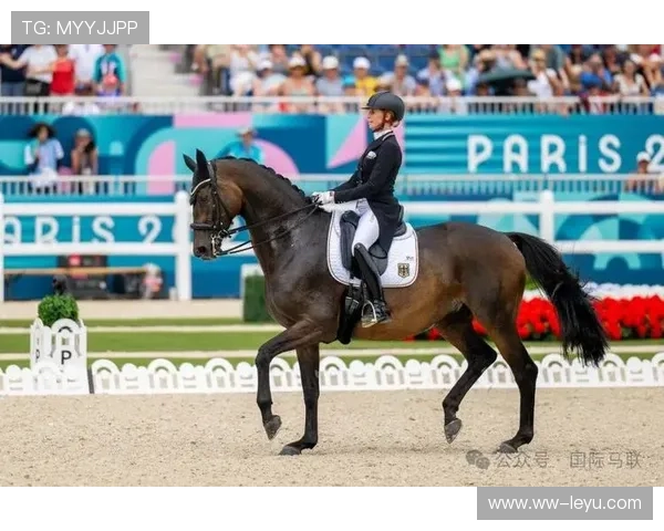 伊朗马术队在巴黎奥运会盛装舞步赛中获得第八名，成绩可圈可点。